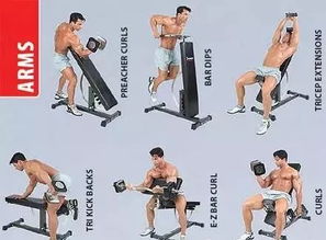 哑铃的正确锻炼方法图解