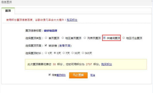 网站上 的 黄页是什么啊