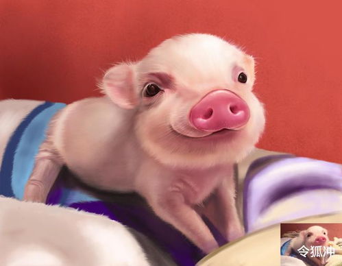 猪女是什么意思