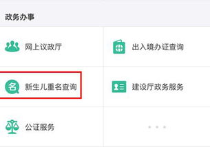 如何查询姓名重名情况？