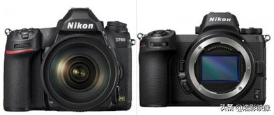 广角和长焦什么意思