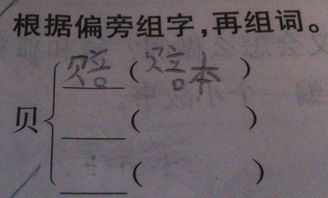 带贝字旁的字大多与什么有关