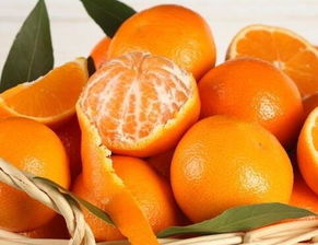 我去买几个橘子,你站在这里不要动什么意思？