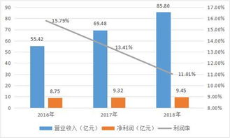 净利润率 英文,净利润率多少合适