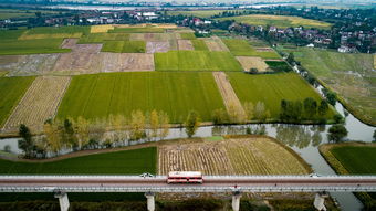 美巢墙固和生态家园墙固哪个好