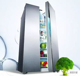 冰箱长期不用需要断电吗?