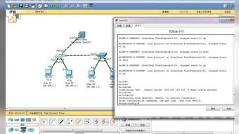 什么是ping?怎样ping?