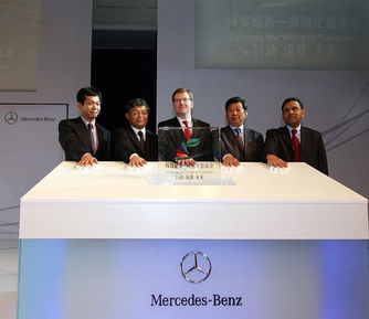 . 下列关于中国青少年发展基金会组织机构的论述,正