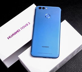 华为nova2系列有什么区别