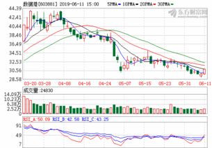 上海数据港股份有限公司深圳分公司怎么样？