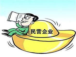 私营企业是什么意思