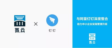 我是一个新手，想自主学习开发定制云办公系统，氚