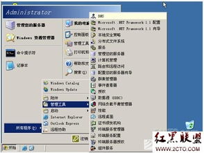DNS服务器配置,DNS服务器配置与管理