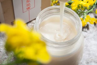 菜花蜜和槐花蜜哪个好