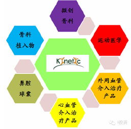 什么是多元化战略