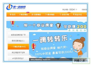 做调查网赚能赚钱吗