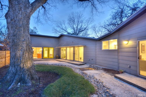 tree house是建在树上的房子,放学后在这样的房子里