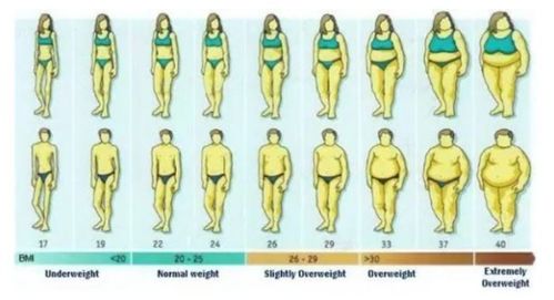 体脂率的计算公式是什么？