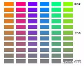 什么是中性色
