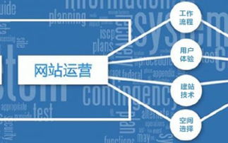 网站运营到底是干什么的？