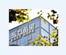 东方希望集团的集团简介