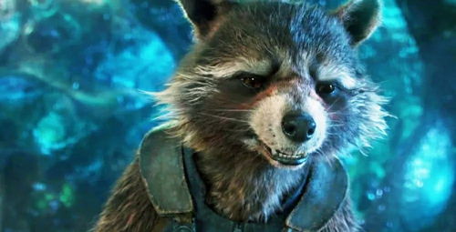 《漫威》火箭浣熊为什么被大卸八块？