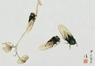 古诗《蝉》唐虞世南