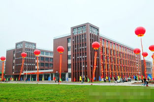 新华电脑专修学院可以吗