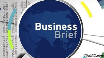 brief是什么意思