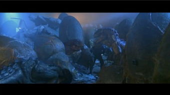 巢穴的意思是什么