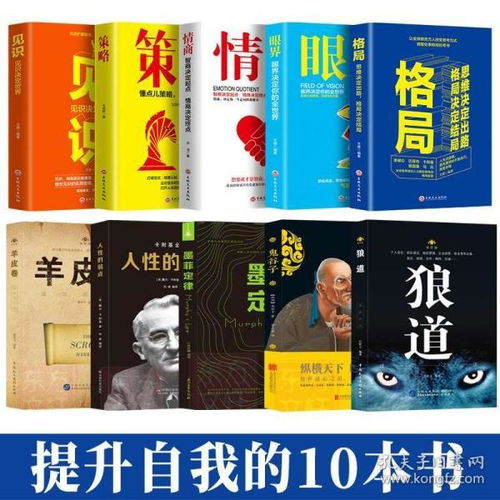 中国最著名的十大书籍