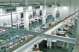 开加工厂怎么找货源,开加工厂哪个行业好