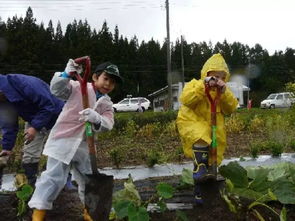 农村商机有哪些