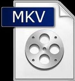 Matroska格式的电影用什么播放器能播？
