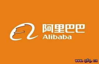 采源宝是作什么用的？！他与阿里巴巴是什么关系？！