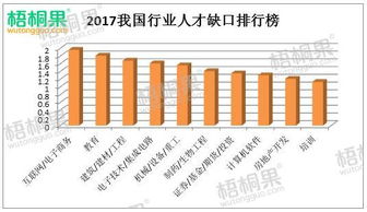软件技术的就业前景和就业方向？