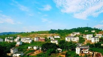 在农村实用的家庭致富小项目？