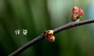 惊蛰节气的含义是什么