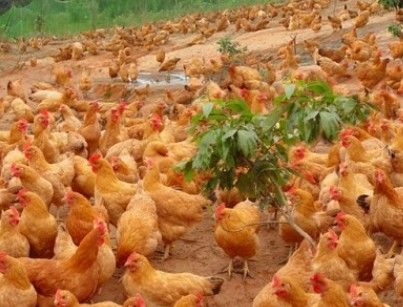 播放器哪个好?,音乐播放器哪个好