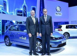 2026年属什么生肖,