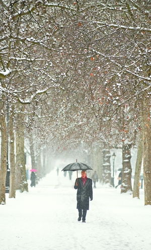 为什么今年都说是千年极寒额、、