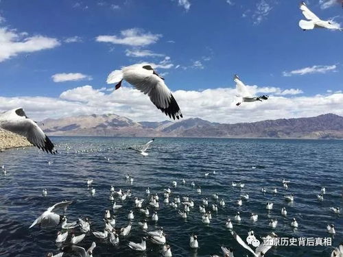中国最大的湖泊是哪个湖？