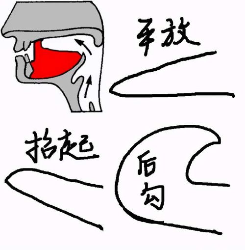 平翘舌音