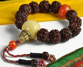 金刚菩提子手串多少颗