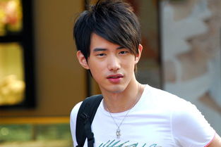 吴建飞个人资料简介,吴建飞铠甲勇士