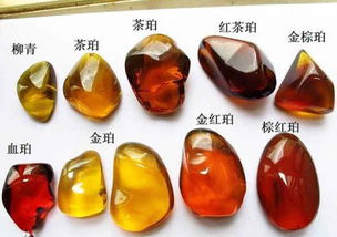 琥珀怎么形成的视频