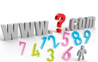 什么是数字域名