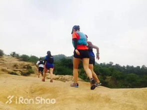 去野吧 歌词,去野吧 app