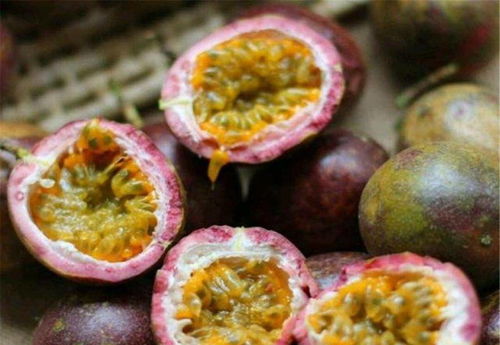 百花果微信分身