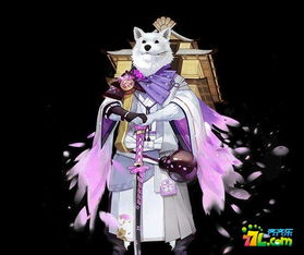 《阴阳师》新版本犬神搭配什么御魂好 犬神搭配